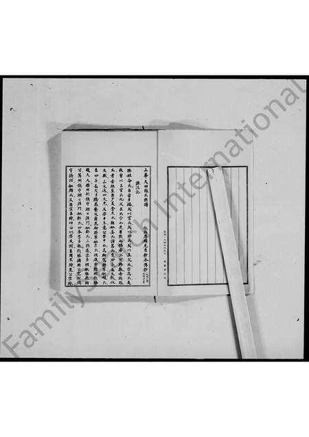 广东张氏族谱-五华大田张氏族谱.pdf电子版预览图4