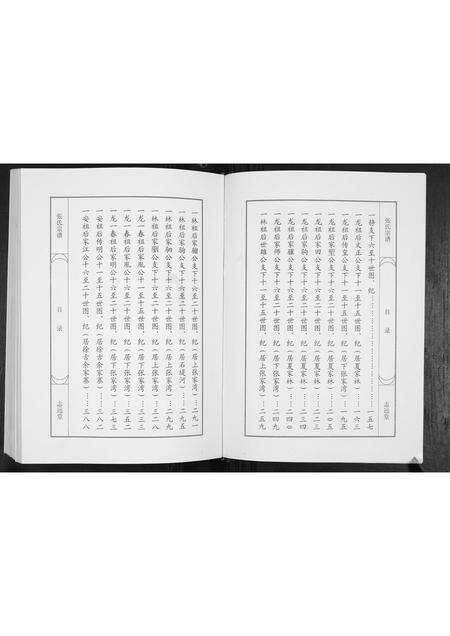 河南张氏族谱-张氏宗谱.pdf电子版预览图4