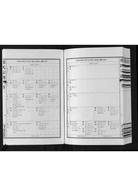 河南张氏族谱-张氏宗谱[2卷].pdf电子版预览图4