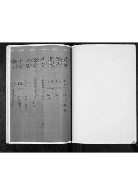 河南张氏族谱-张氏家谱.pdf电子版预览图4