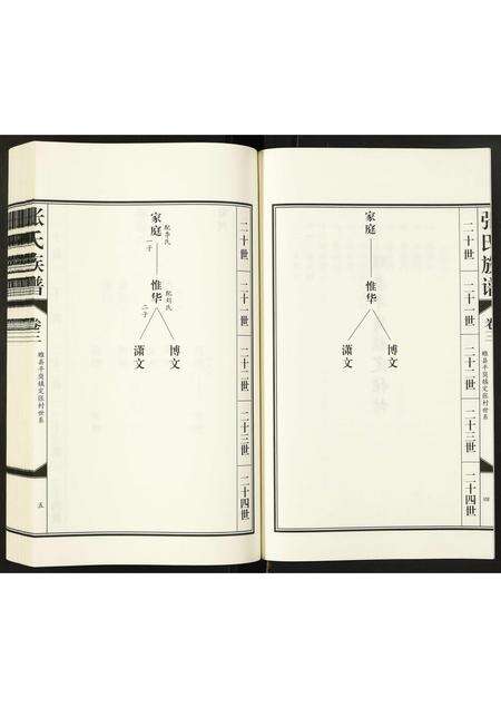 河南张氏族谱-张氏族谱.pdf电子版预览图4