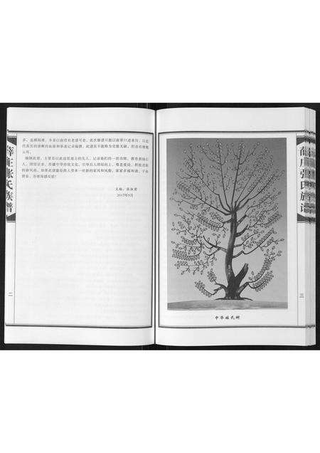 河南张氏族谱-张氏族谱[不分卷].pdf电子版预览图4