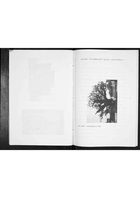 河南赵氏族谱-赵氏家谱[不分卷].pdf电子版预览图4