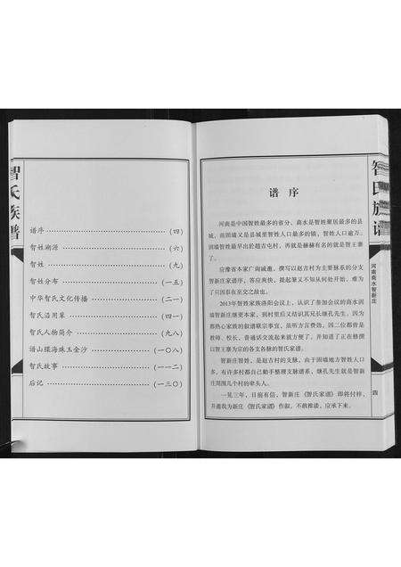 河南智氏族谱-智氏族谱[不分卷].pdf电子版预览图4