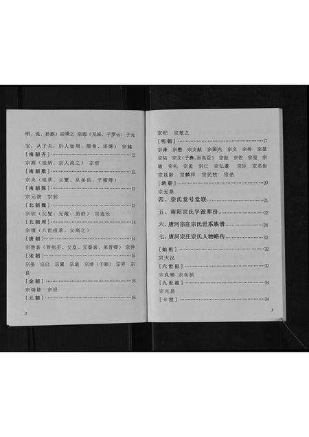 河南宗氏族谱-唐河宗庄宗氏家谱[不分卷].pdf电子版预览图4