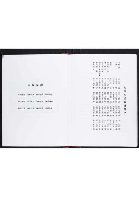 河南左氏族谱-左洼左氏家谱[不分卷].pdf电子版预览图4