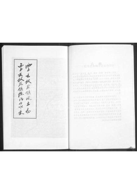 河南陈氏族谱-西平县权寨镇风土志,西平县权寨镇陈氏家乘.pdf电子版预览图4
