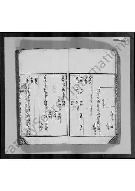 广东单氏族谱-岭南单氏十修族谱 [残卷].pdf电子版预览图4