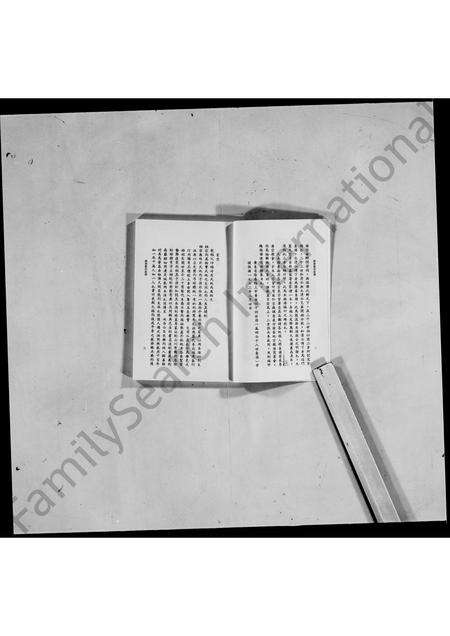 广东蓝氏族谱-香港塔门广东阳春蓝氏族谱合编.pdf电子版预览图4