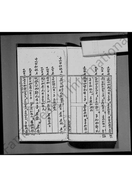 广东李氏族谱-[宝安县乌蛟腾明芳公所传] _ 李氏族谱.pdf电子版预览图4