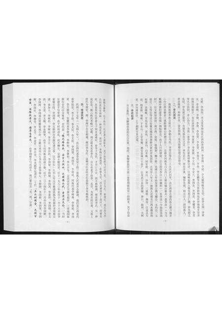 河南李氏族谱-李氏宗谱 _ 蛮李洼.pdf电子版预览图4