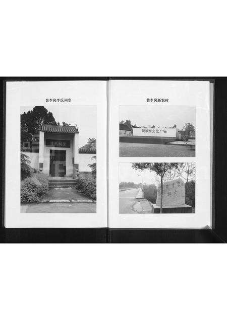 河南李氏族谱-李氏家谱 _ 河南省新郑市裴李岗.pdf电子版预览图4