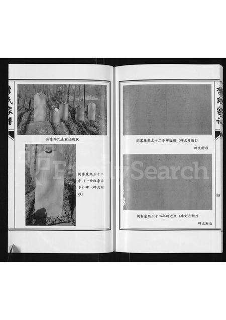 河南李氏族谱-李氏家谱 _ 淇县文礼庄.pdf电子版预览图4