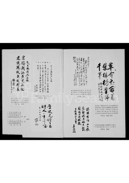 广东林氏族谱-玉树扬风 = An Everlasting Jade tree _ The past and present of the Lin clan in  Chaoshan area.pdf电子版预览图4