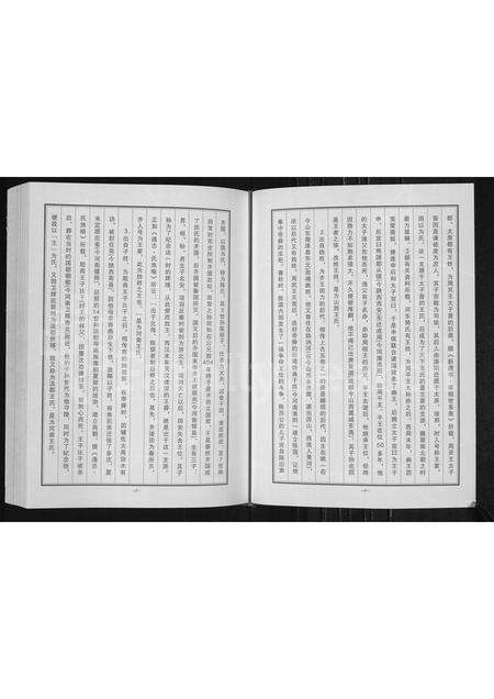 河南王氏族谱-王氏族谱 _ 长垣县蒲西区菜北村.pdf电子版预览图4