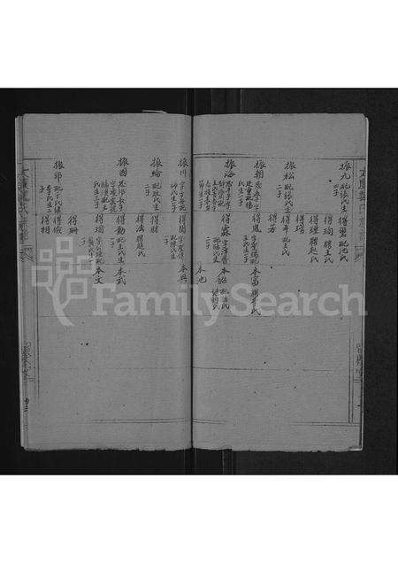 河南魏氏族谱-魏氏族谱 _ 河南省太康县 [存2卷].pdf电子版预览图4