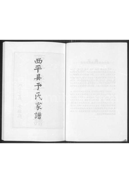 河南于氏族谱-西平县于氏家谱.pdf电子版预览图4