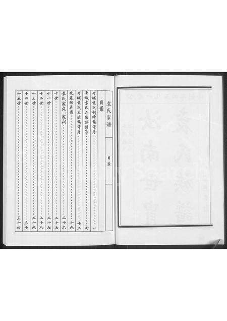 河南袁氏族谱-袁氏族谱.pdf电子版预览图4