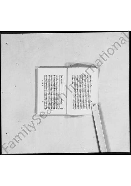 河南袁氏族谱-洹上私乘 _ 袁世凯家谱 [7卷].pdf电子版预览图4