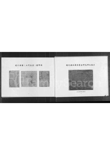 河南张氏族谱-张氏族谱.pdf电子版预览图4