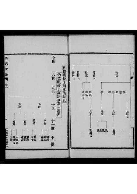 河南张氏族谱-张氏支谱 [6卷].pdf电子版预览图4