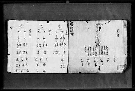 广东蔡氏族谱-蔡氏族谱.pdf电子版预览图4