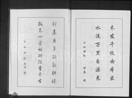 河南崔氏族谱-崔氏族谱.pdf电子版预览图4