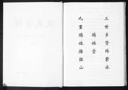 河南扶氏族谱-扶氏宗谱 [3卷].pdf电子版预览图4