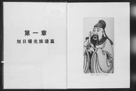 河南高氏族谱-高氏家族谱.pdf电子版预览图4