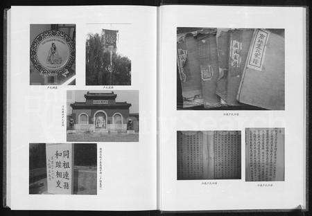 河南卢氏族谱-归德(商丘)卢氏族谱.pdf电子版预览图4