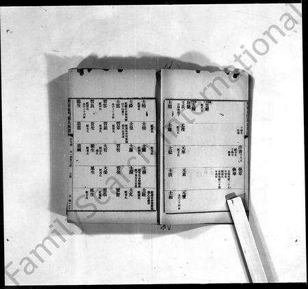 广东罗氏族谱-兴宁东门罗氏族谱 [7卷].pdf电子版预览图4