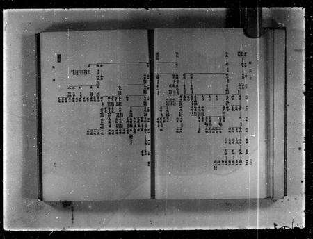 广东谭氏族谱-谭氏志.pdf电子版预览图4