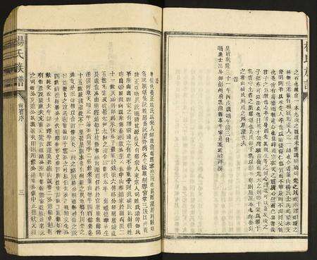 广东杨氏族谱-杨氏宗谱.pdf电子版预览图4