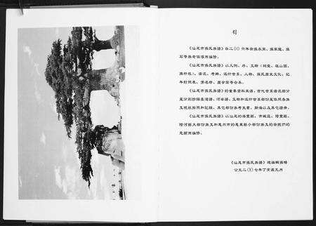 广东张氏族谱-广东省汕尾市张氏族谱.pdf电子版预览图4