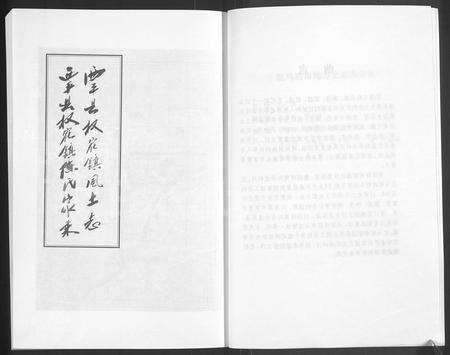 河南陈氏族谱-西平县权寨镇陈氏家乘 _ [6卷] _ 附风土志.pdf电子版预览图4