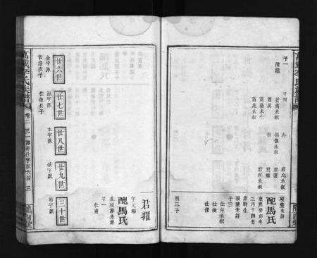 江西、福建李氏族谱-万载李氏族谱 [残卷].pdf电子版预览图4