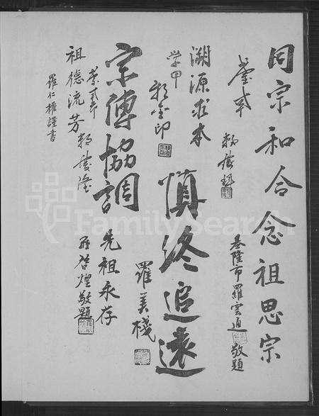 广东罗氏族谱-赖罗傅联宗大族谱.pdf电子版预览图4