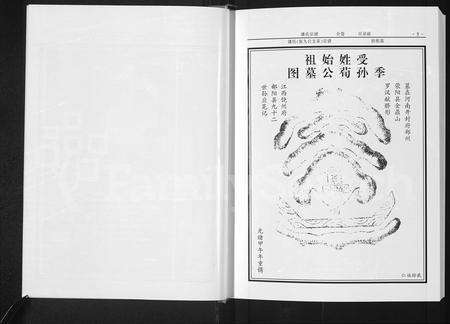 河南潘氏族谱-潘氏宗谱 _ 复九公支系.pdf电子版预览图4