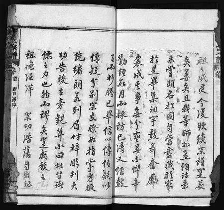 河南、安徽王氏族谱-王氏宗谱 [43卷,首1卷].pdf电子版预览图4