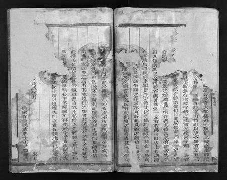 江西、福建杨氏族谱-杨氏宗谱 [卷数不详].pdf电子版预览图4