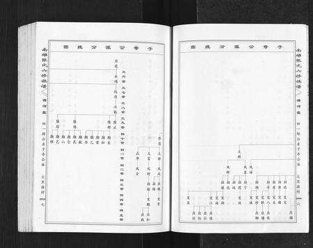 广东张氏族谱-南雄张氏六修族谱[不分卷].pdf电子版预览图4
