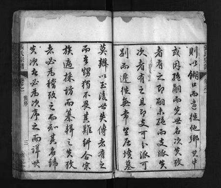 河南张氏族谱-张氏宗谱 [8卷].pdf电子版预览图4