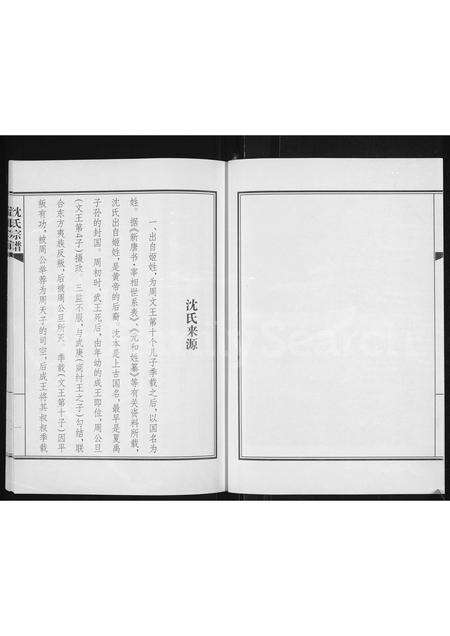 海宁沈氏族谱-沈氏宗谱(别名：沈氏家谱 ： 浙江海宁许村郁家港).pdf电子版预览图4