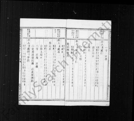 义乌杨氏族谱-稠巖杨氏合族宗谱 ： [37卷](别名：义乌稠巖杨氏宗谱).pdf电子版预览图4