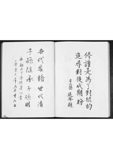 安徽丁氏族谱-丁氏宗谱[不分卷].pdf电子版预览图4