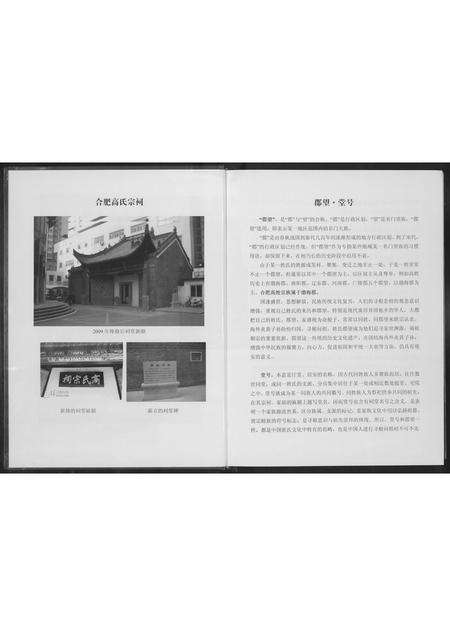 安徽高氏族谱-合肥高氏宗谱.pdf电子版预览图4