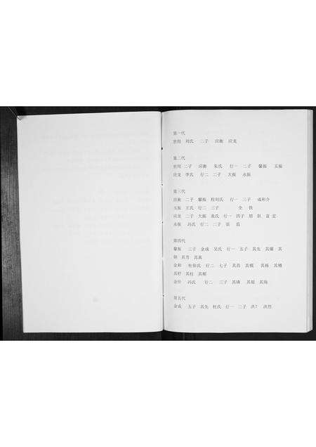 安徽金氏族谱-金氏家谱[不分卷].pdf电子版预览图4