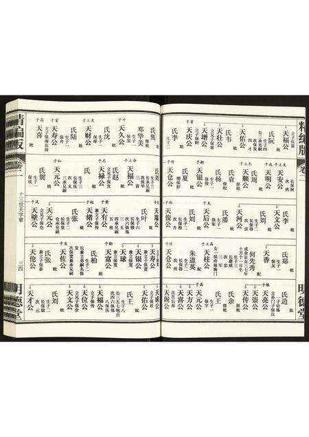 安徽康氏族谱-康氏族谱.pdf电子版预览图4