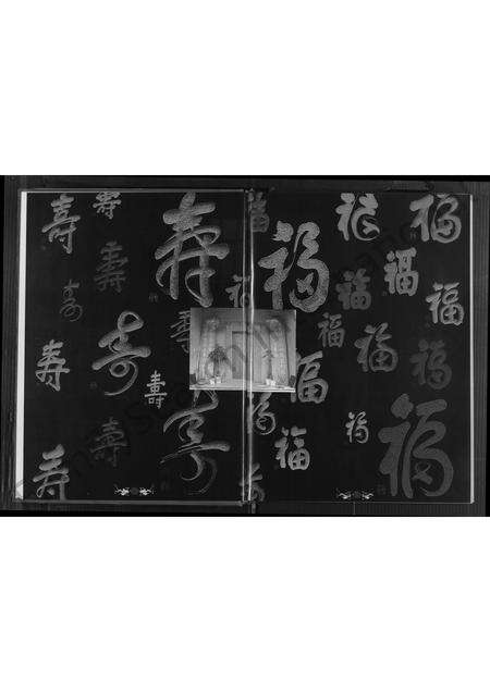 福建陈氏族谱-厦门陈氏 [不分卷].pdf电子版预览图4