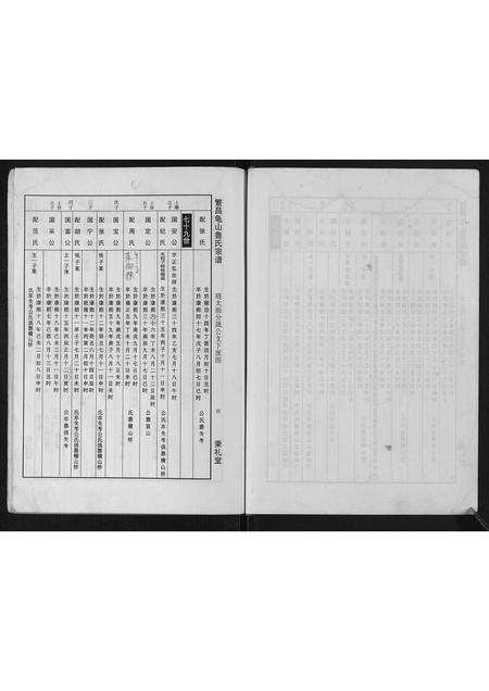 安徽鲁氏族谱-瀪昌宅山鲁氏宗谱[不分卷].pdf电子版预览图4